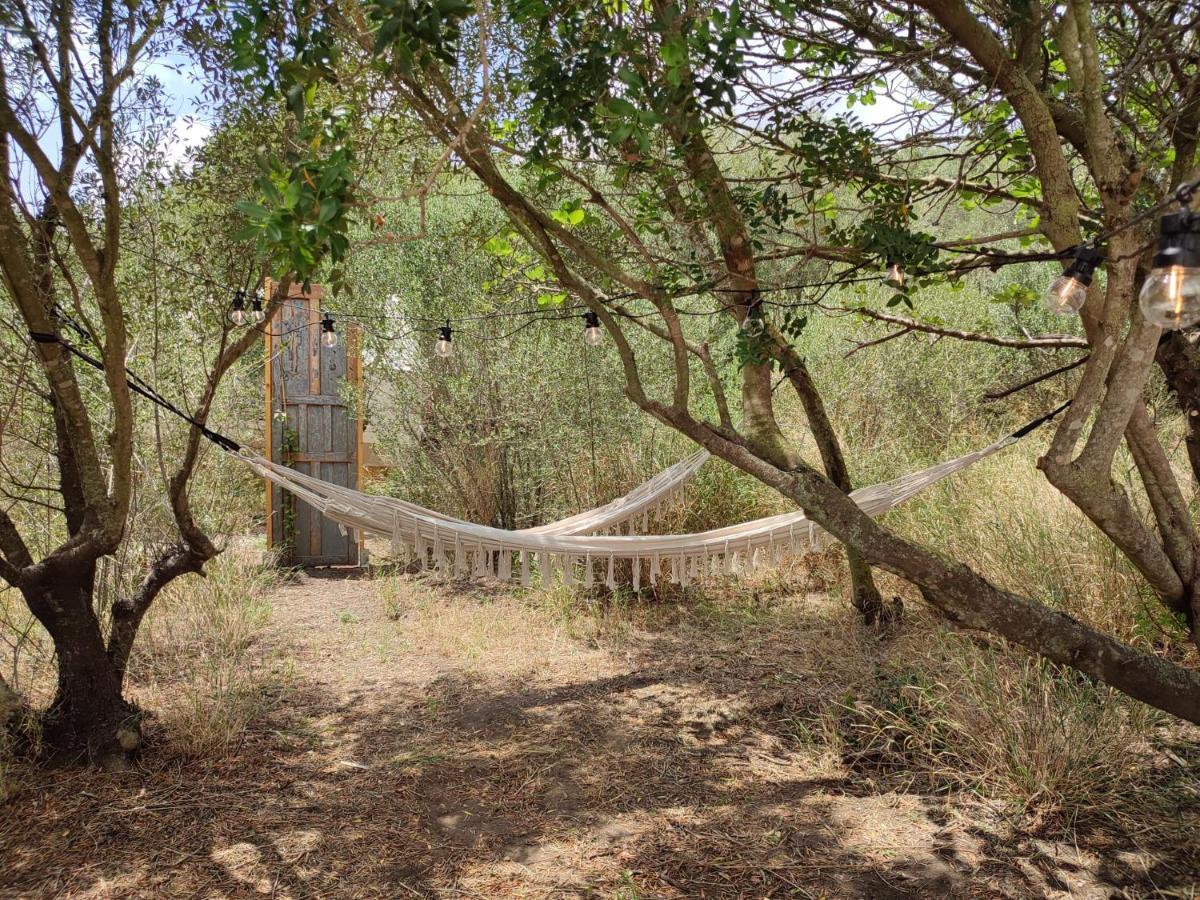 Tranquilo Glamping Hotel Hozanejos Bagian luar foto