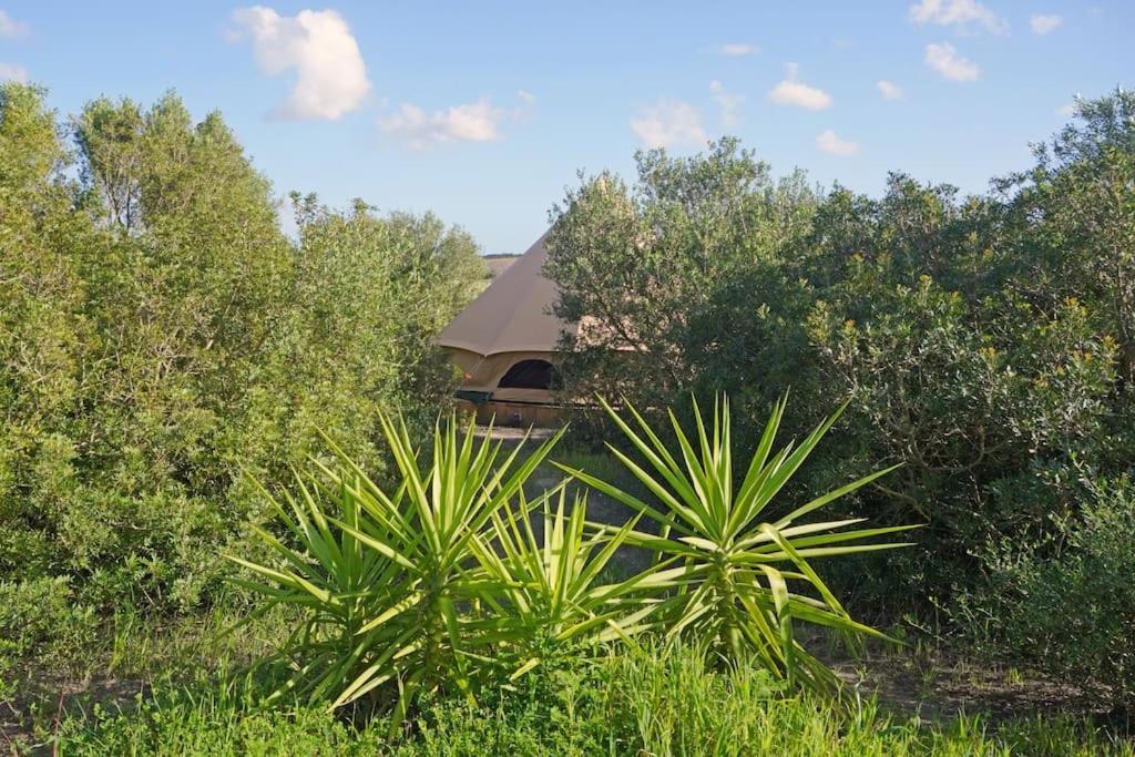 Tranquilo Glamping Hotel Hozanejos Bagian luar foto